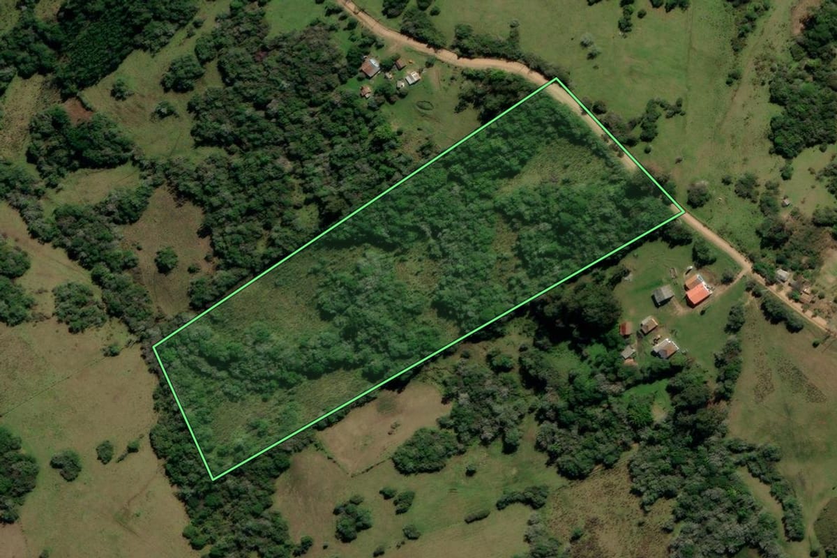 Imagem de satélite do imóvel rural em Canguçu (RS), com o contorno declarado no CAR desenhado por cima.