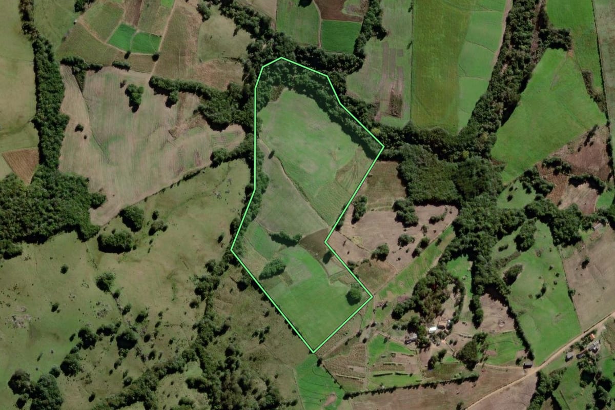 Imagem de satélite do imóvel rural em Canguçu (RS), com o contorno declarado no CAR desenhado por cima.