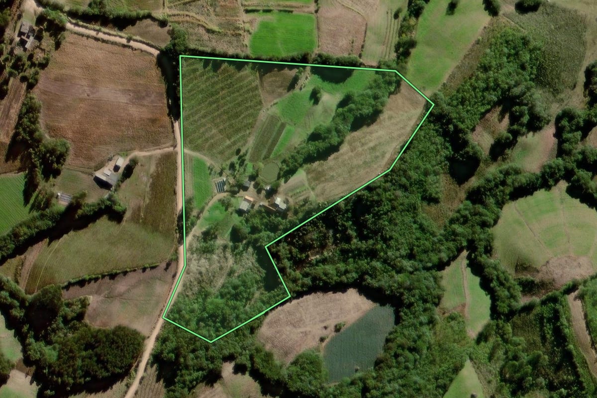 Imagem de satélite do imóvel rural em Canguçu (RS), com o contorno declarado no CAR desenhado por cima.