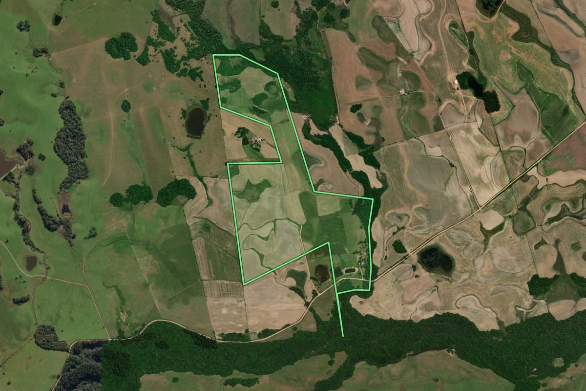 Imagem de satélite do imóvel rural em Canguçu (RS), com o contorno declarado no CAR desenhado por cima.
