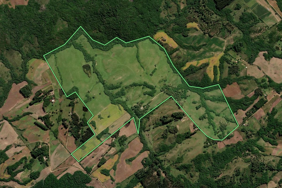Imagem de satélite do imóvel rural em Canguçu (RS), com o contorno declarado no CAR desenhado por cima.