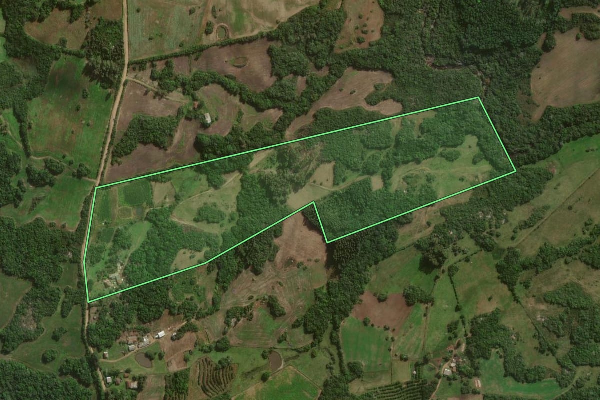 Imagem de satélite do imóvel rural em Canguçu (RS), com o contorno declarado no CAR desenhado por cima.