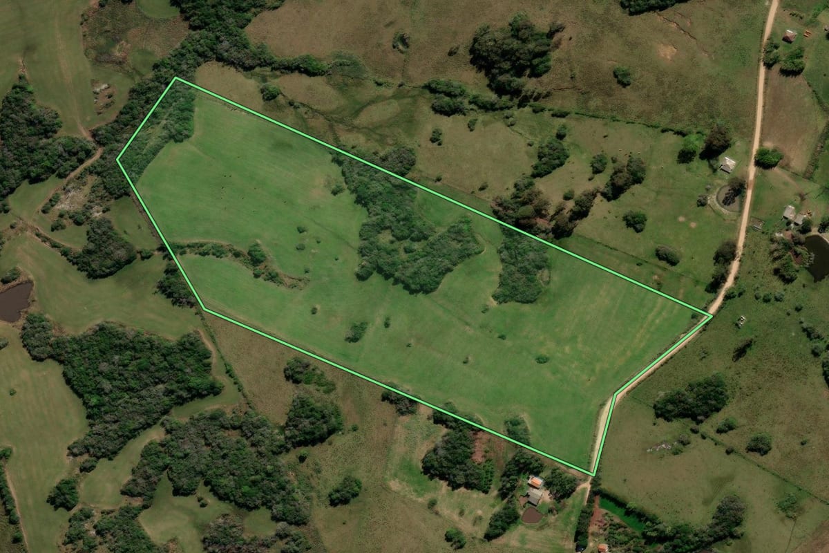 Imagem de satélite do imóvel rural em Canguçu (RS), com o contorno declarado no CAR desenhado por cima.