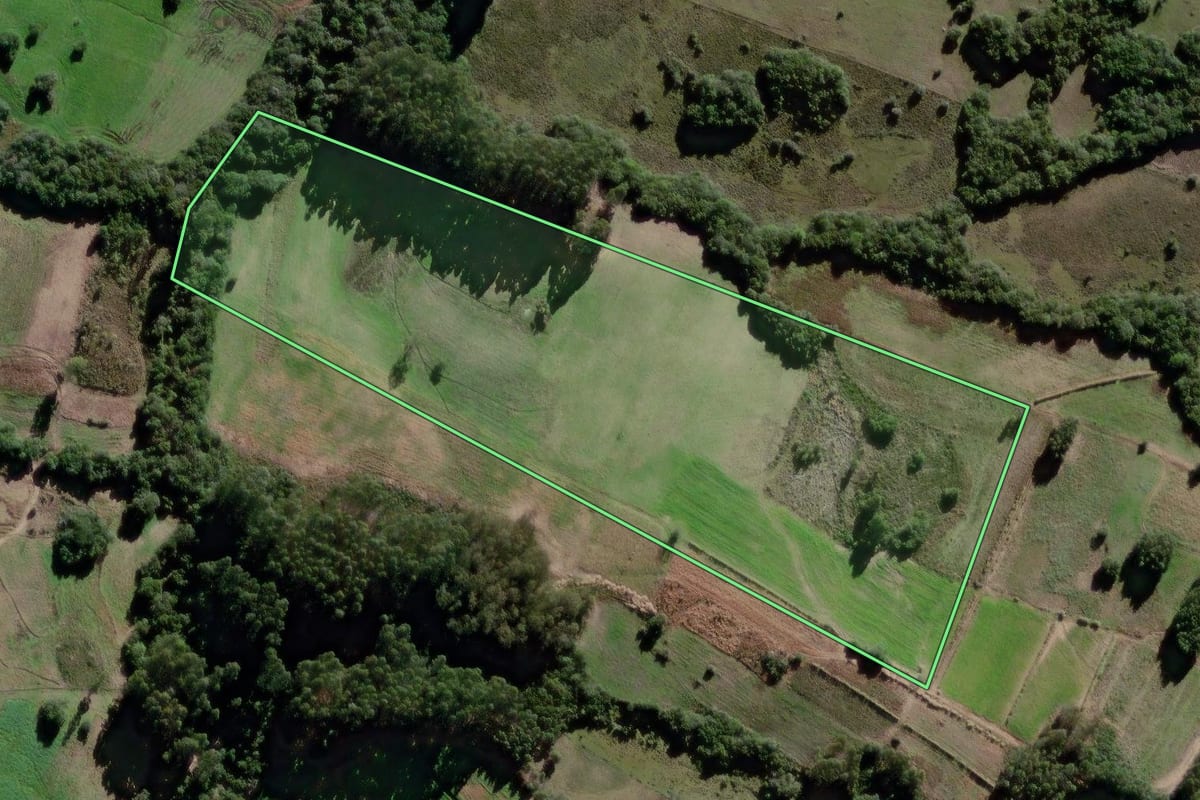 Imagem de satélite do imóvel rural em Canguçu (RS), com o contorno declarado no CAR desenhado por cima.