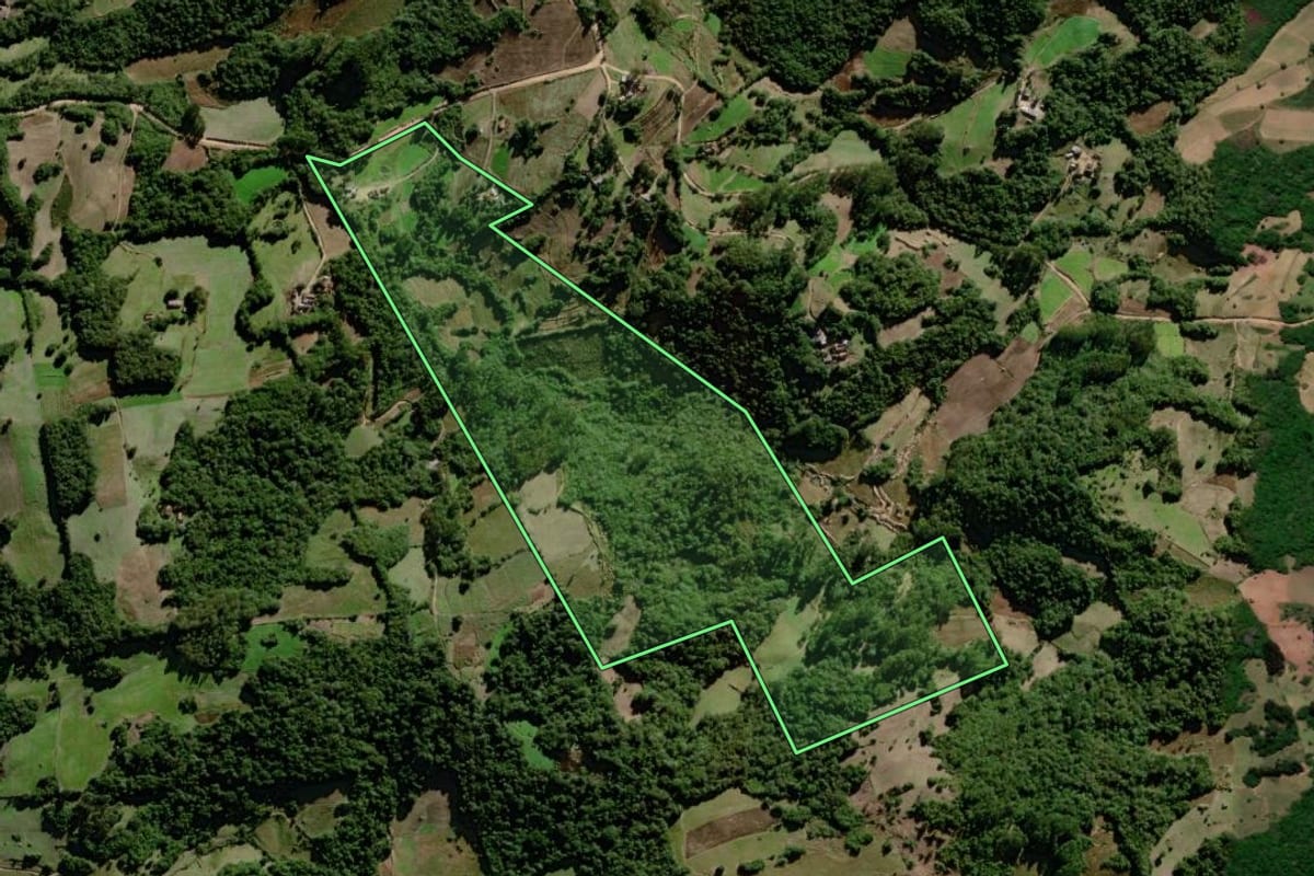 Imagem de satélite do imóvel rural em Canguçu (RS), com o contorno declarado no CAR desenhado por cima.