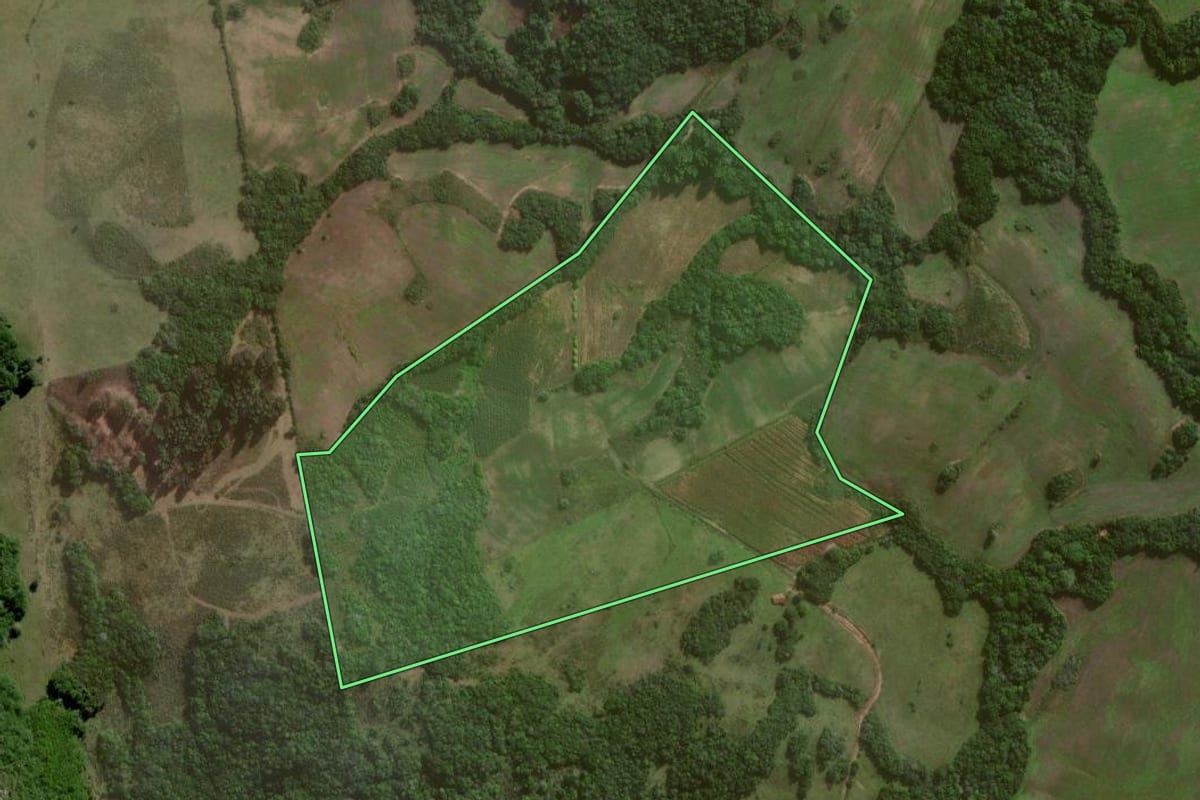 Imagem de satélite do imóvel rural em Canguçu (RS), com o contorno declarado no CAR desenhado por cima.