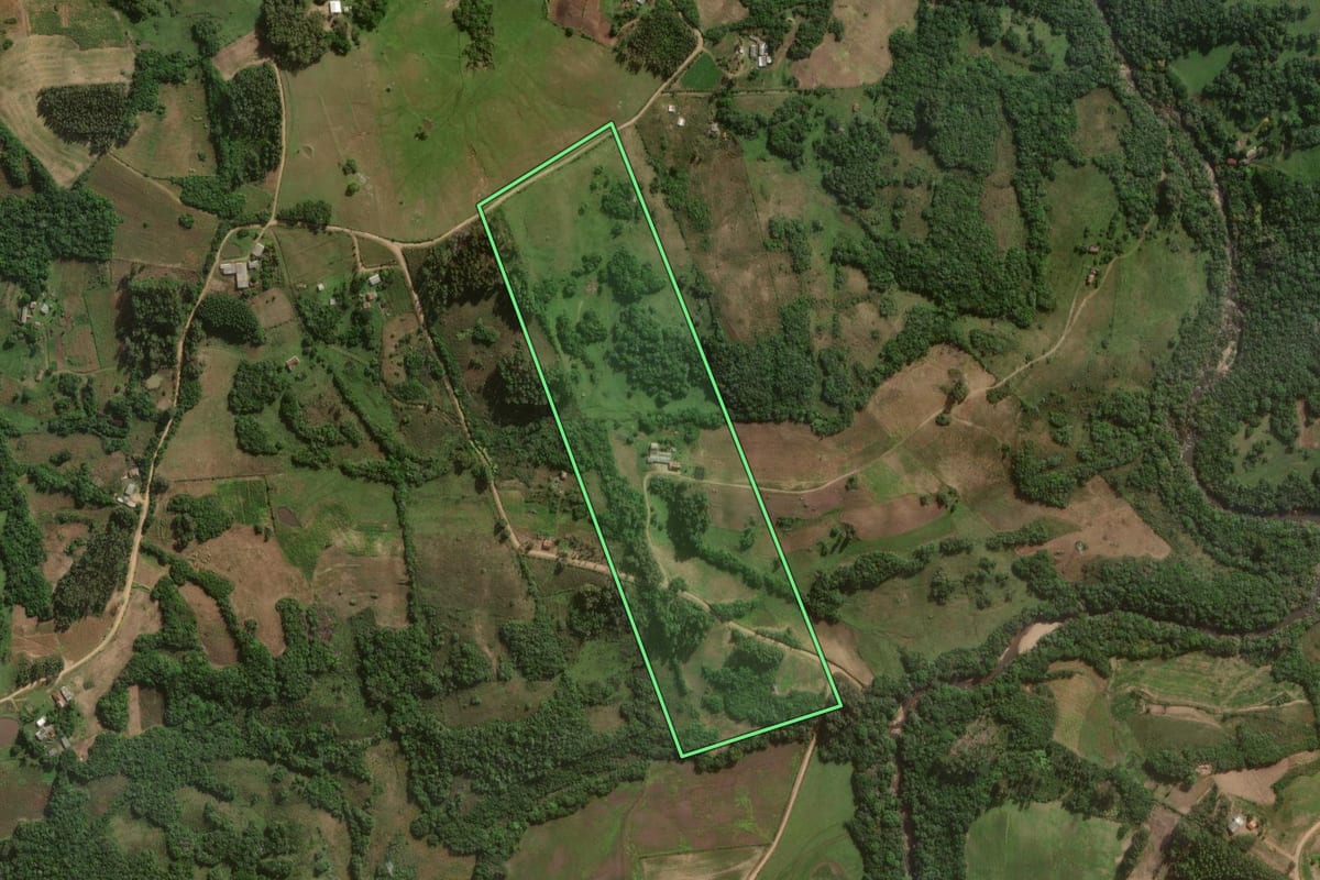 Imagem de satélite do imóvel rural em Canguçu (RS), com o contorno declarado no CAR desenhado por cima.
