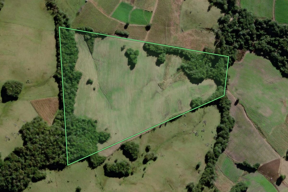 Imagem de satélite do imóvel rural em Canguçu (RS), com o contorno declarado no CAR desenhado por cima.