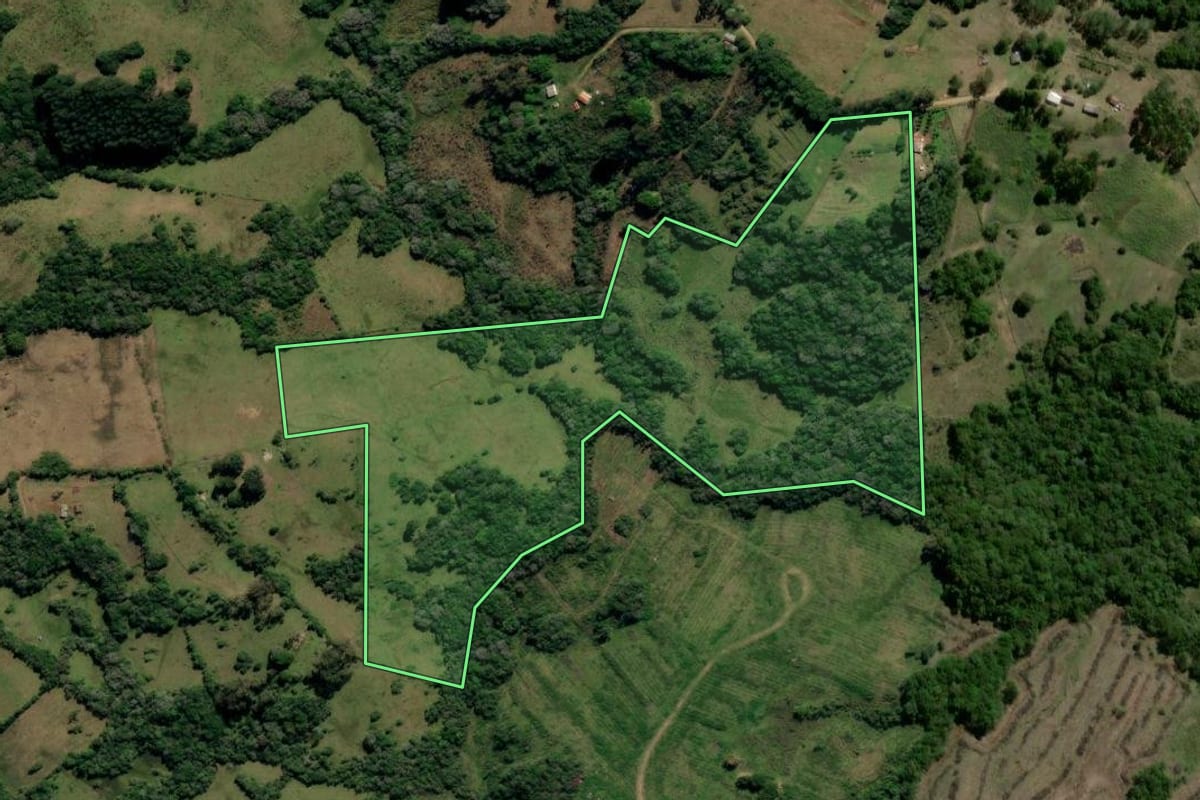 Imagem de satélite do imóvel rural em Canguçu (RS), com o contorno declarado no CAR desenhado por cima.