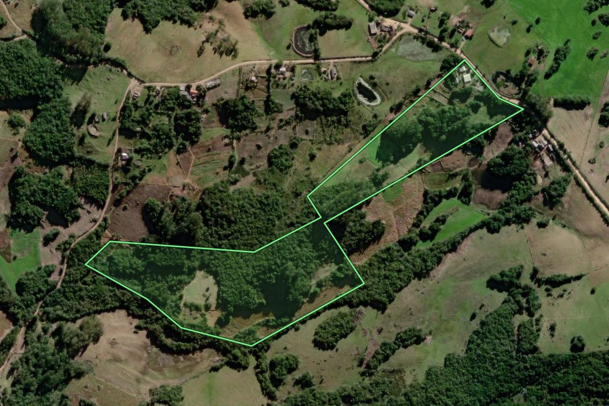 Imagem de satélite do imóvel rural em Canguçu (RS), com o contorno declarado no CAR desenhado por cima.