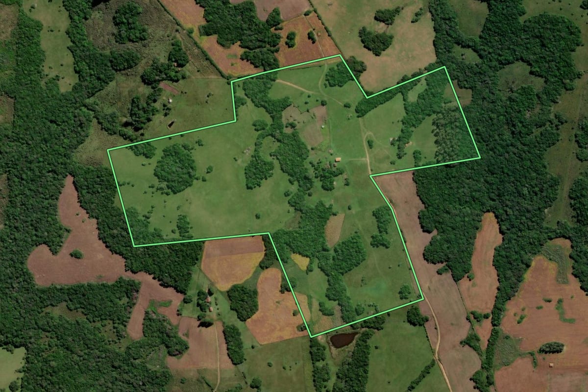 Imagem de satélite do imóvel rural em Canguçu (RS), com o contorno declarado no CAR desenhado por cima.
