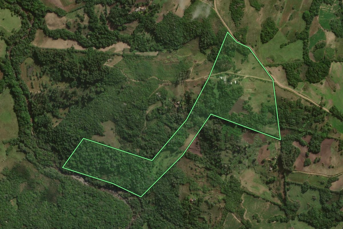 Imagem de satélite do imóvel rural em Canguçu (RS), com o contorno declarado no CAR desenhado por cima.