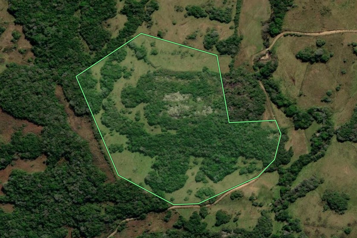 Imagem de satélite do imóvel rural em Canguçu (RS), com o contorno declarado no CAR desenhado por cima.