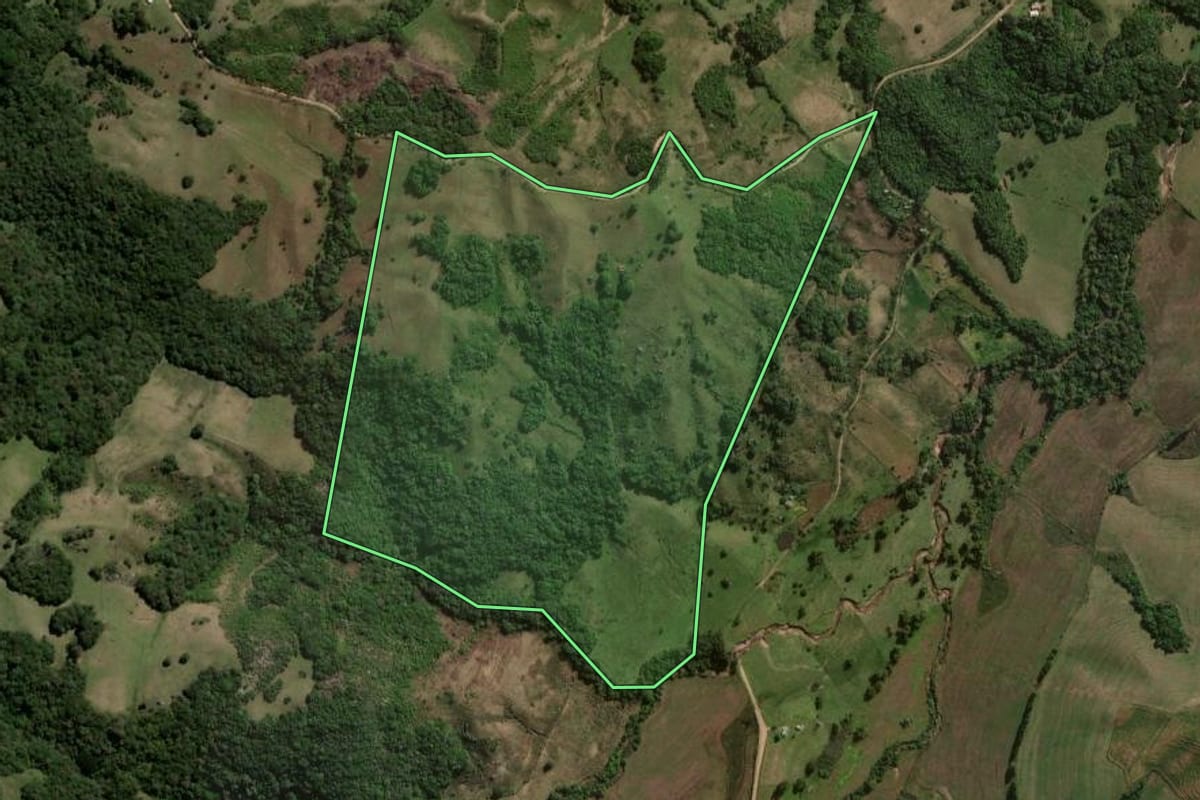 Imagem de satélite do imóvel rural em Canguçu (RS), com o contorno declarado no CAR desenhado por cima.