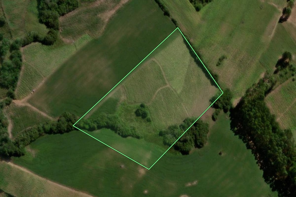 Imagem de satélite do imóvel rural em Canguçu (RS), com o contorno declarado no CAR desenhado por cima.
