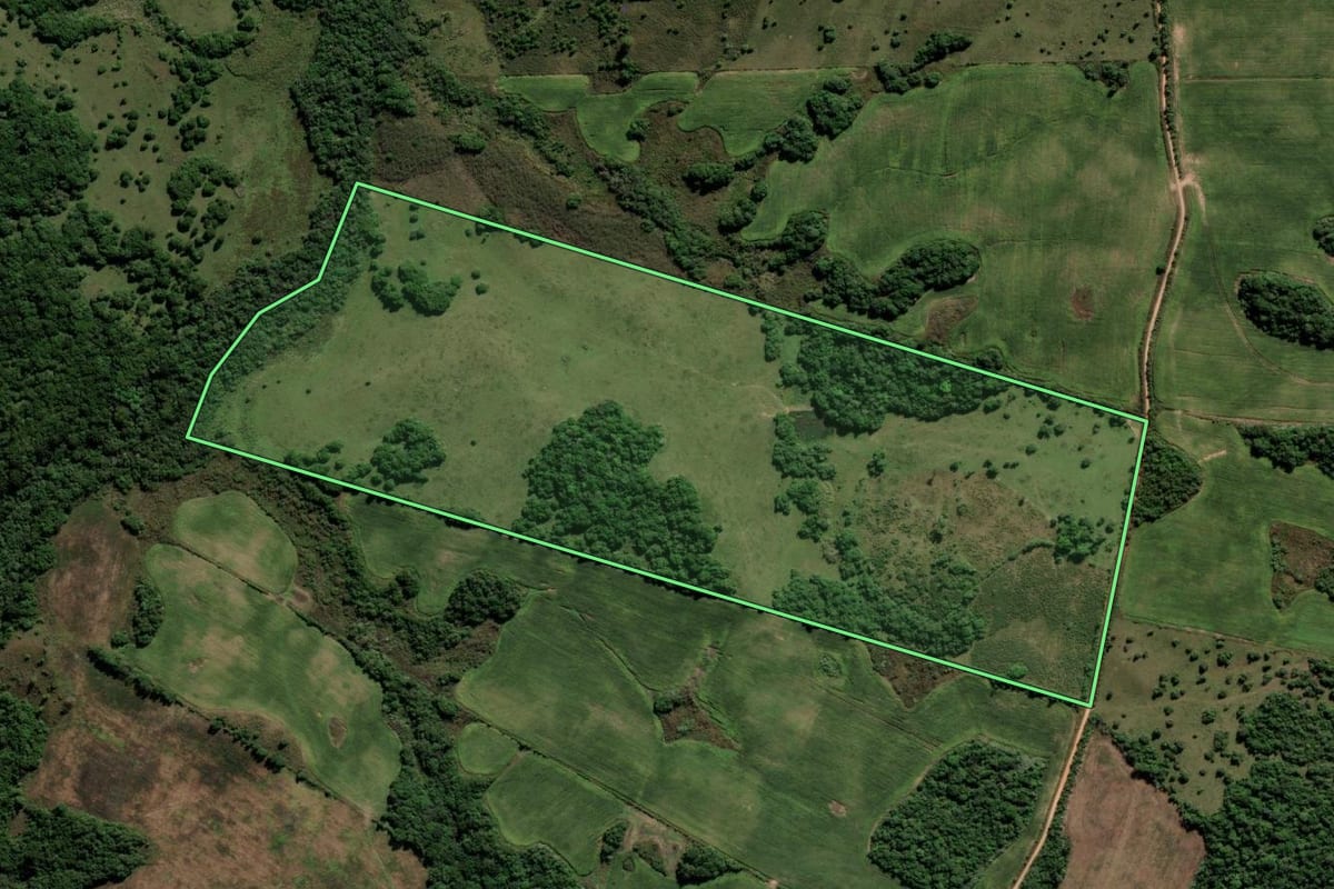 Imagem de satélite do imóvel rural em Canguçu (RS), com o contorno declarado no CAR desenhado por cima.