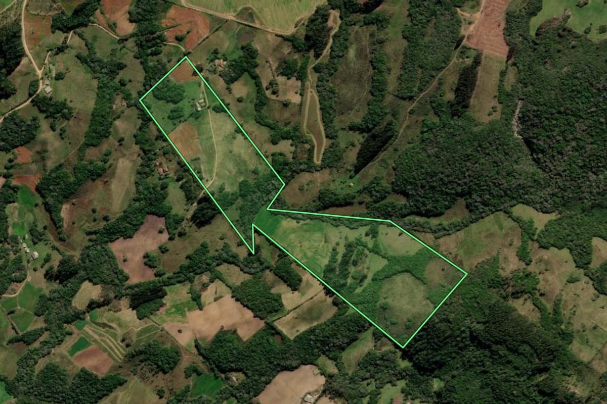 Imagem de satélite do imóvel rural em Canguçu (RS), com o contorno declarado no CAR desenhado por cima.