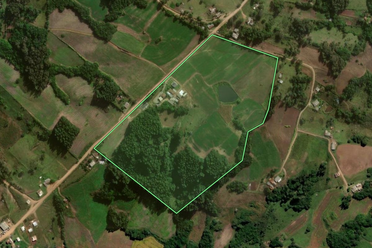 Imagem de satélite do imóvel rural em Canguçu (RS), com o contorno declarado no CAR desenhado por cima.