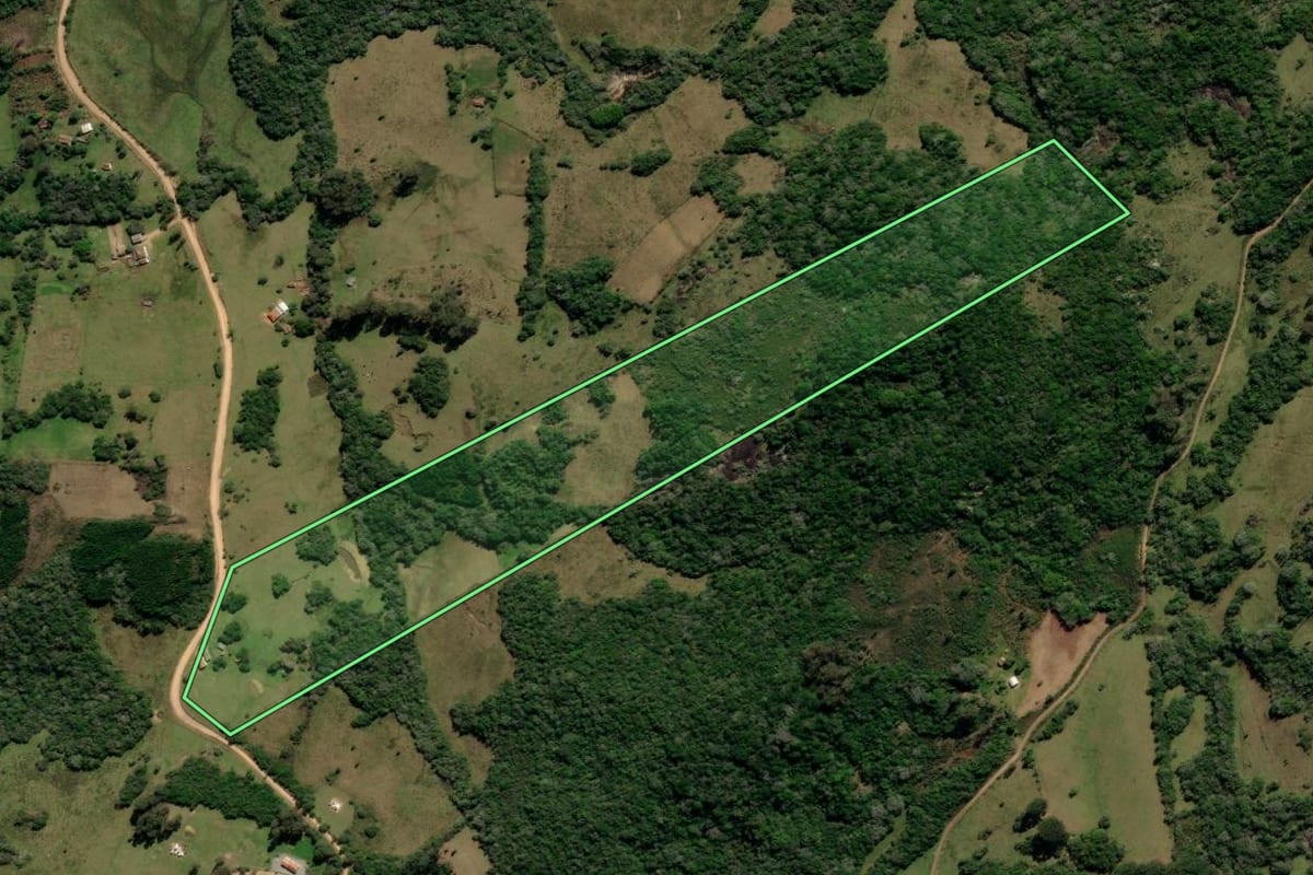 Imagem de satélite do imóvel rural em Canguçu (RS), com o contorno declarado no CAR desenhado por cima.