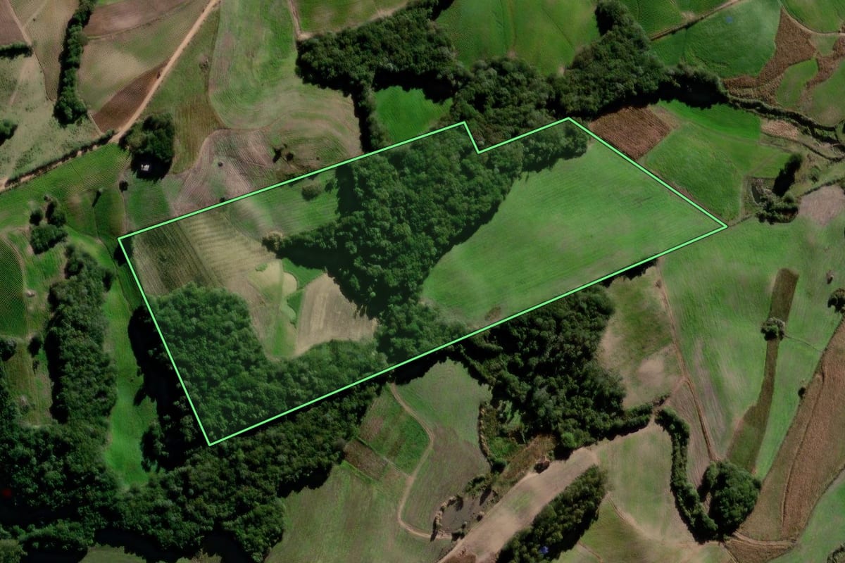 Imagem de satélite do imóvel rural em Canguçu (RS), com o contorno declarado no CAR desenhado por cima.