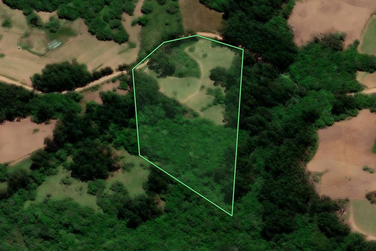 Imagem de satélite do imóvel rural em Canguçu (RS), com o contorno declarado no CAR desenhado por cima.