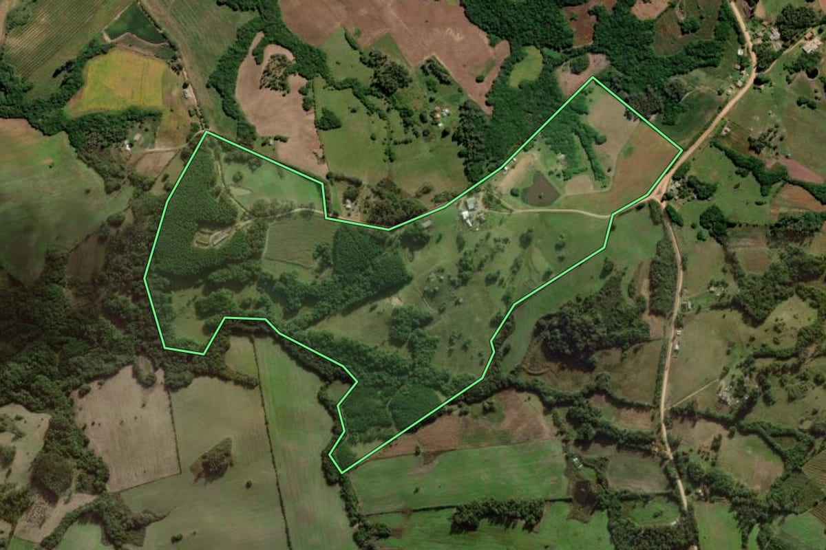 Imagem de satélite do imóvel rural em Canguçu (RS), com o contorno declarado no CAR desenhado por cima.