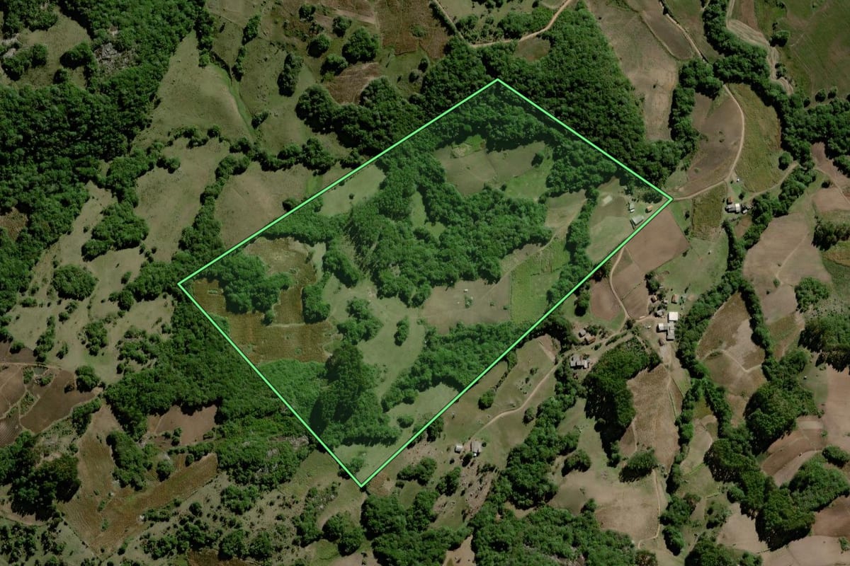 Imagem de satélite do imóvel rural em Canguçu (RS), com o contorno declarado no CAR desenhado por cima.