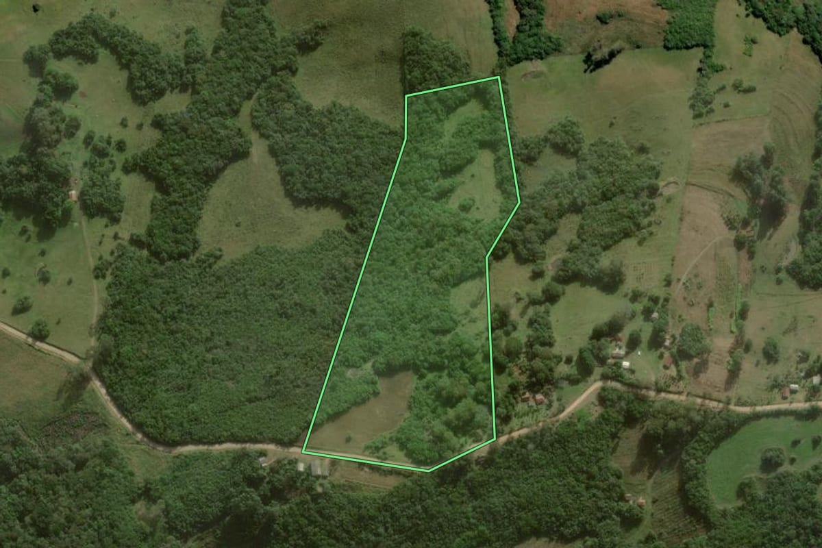 Imagem de satélite do imóvel rural em Canguçu (RS), com o contorno declarado no CAR desenhado por cima.