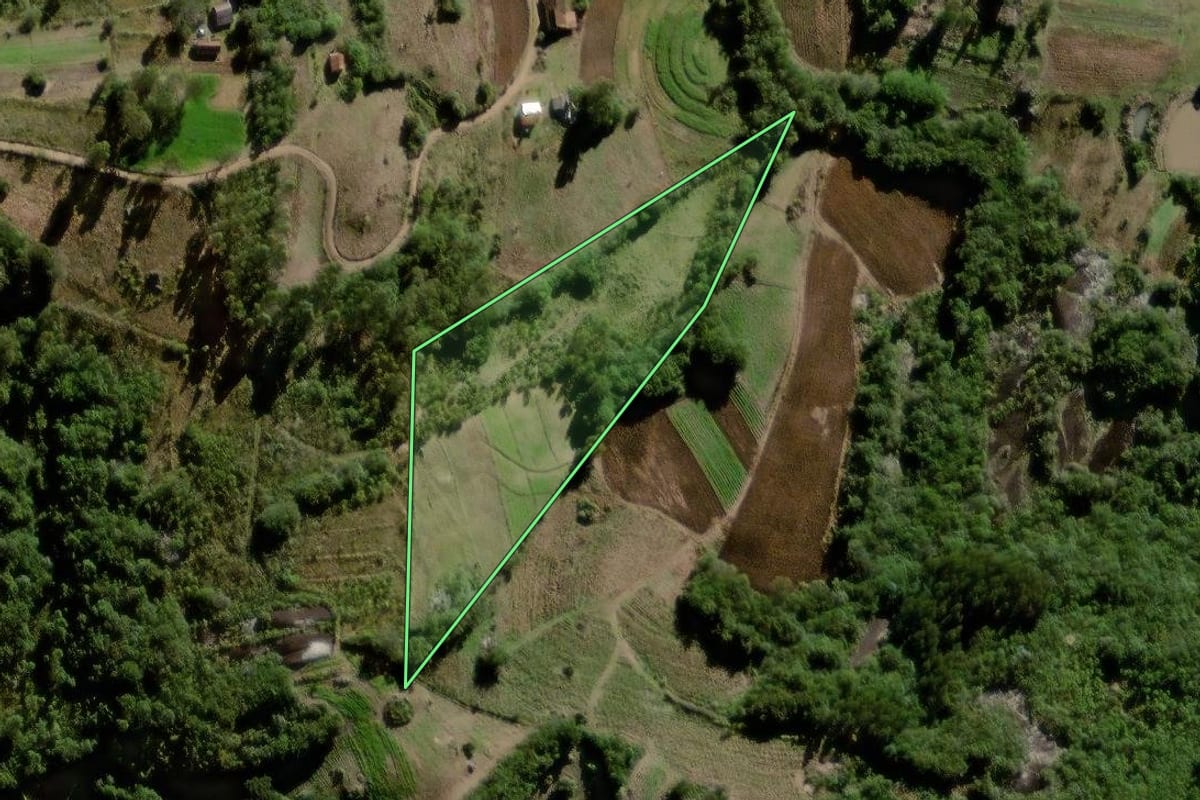 Imagem de satélite do imóvel rural em Canguçu (RS), com o contorno declarado no CAR desenhado por cima.