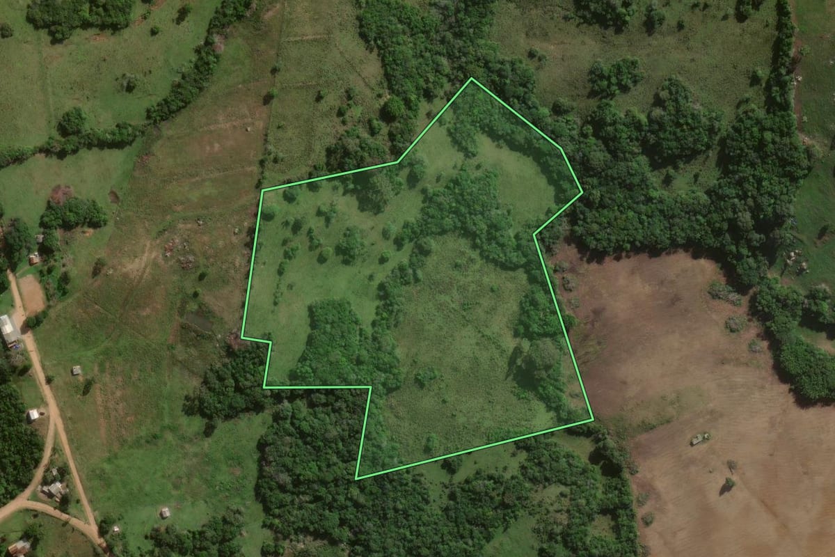 Imagem de satélite do imóvel rural em Canguçu (RS), com o contorno declarado no CAR desenhado por cima.