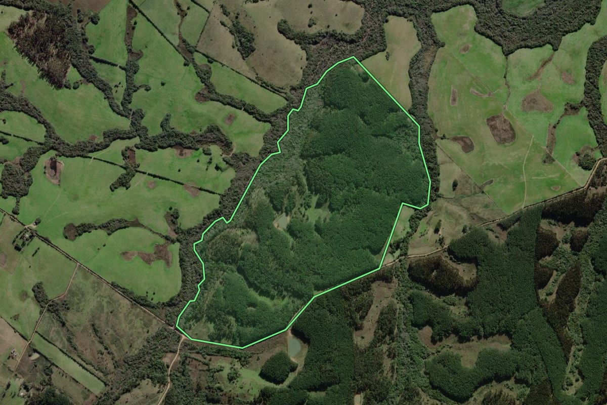 Imagem de satélite do imóvel rural em Canguçu (RS), com o contorno declarado no CAR desenhado por cima.