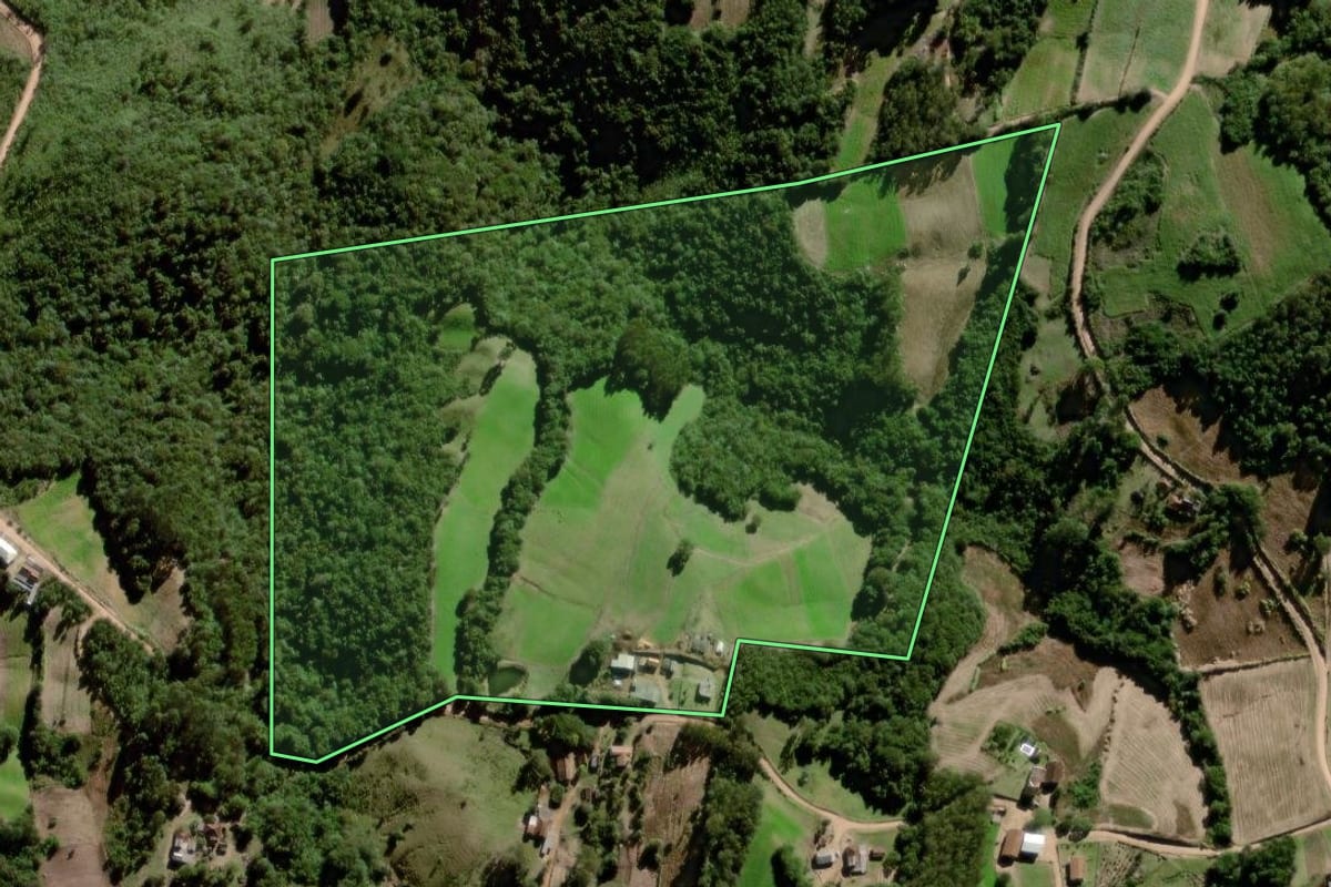 Imagem de satélite do imóvel rural em Canguçu (RS), com o contorno declarado no CAR desenhado por cima.