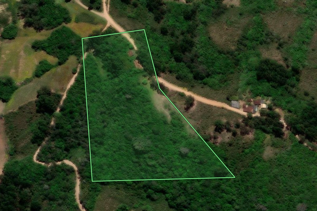 Imagem de satélite do imóvel rural em Canguçu (RS), com o contorno declarado no CAR desenhado por cima.