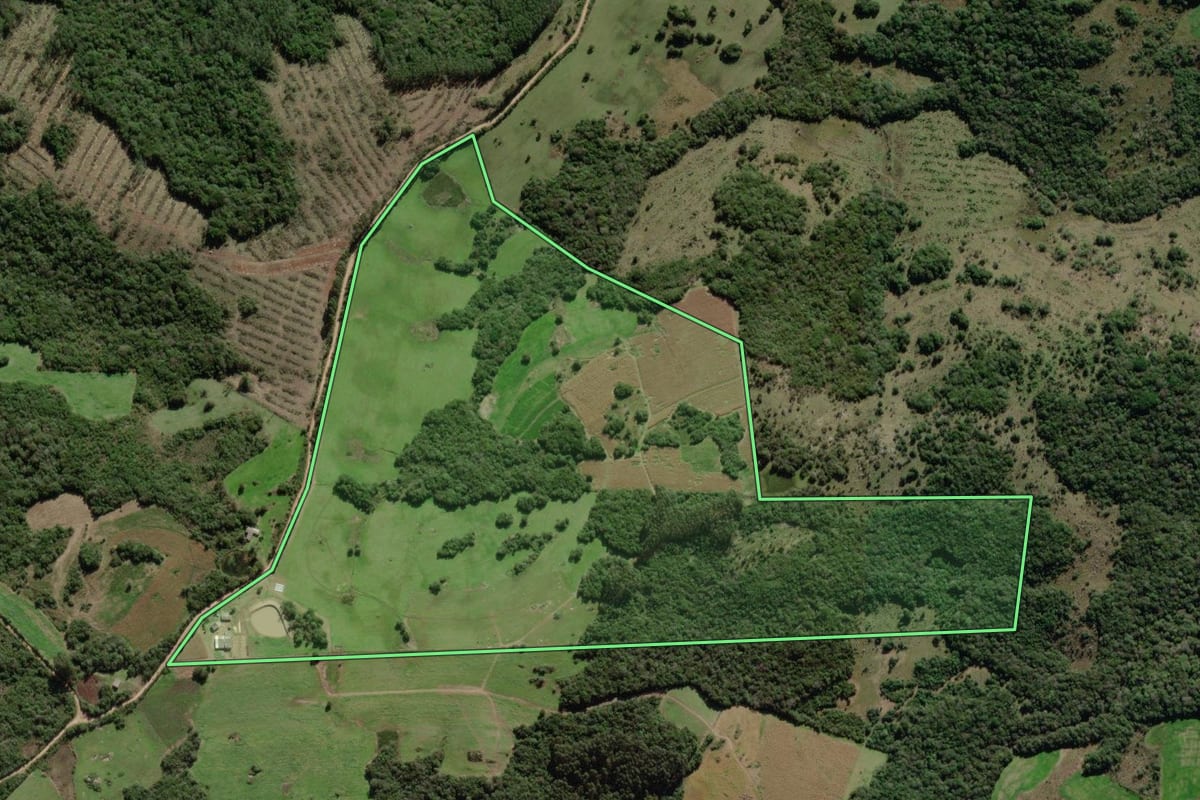 Imagem de satélite do imóvel rural em Canguçu (RS), com o contorno declarado no CAR desenhado por cima.
