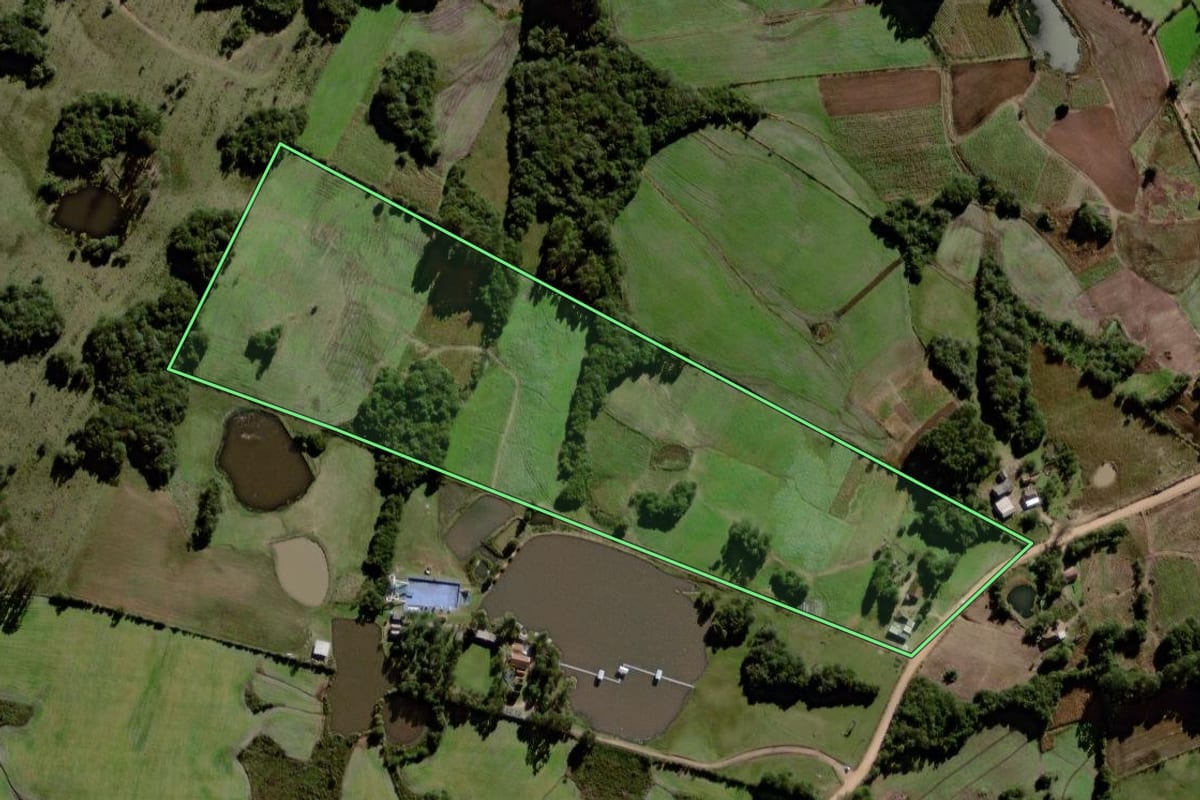 Imagem de satélite do imóvel rural em Canguçu (RS), com o contorno declarado no CAR desenhado por cima.