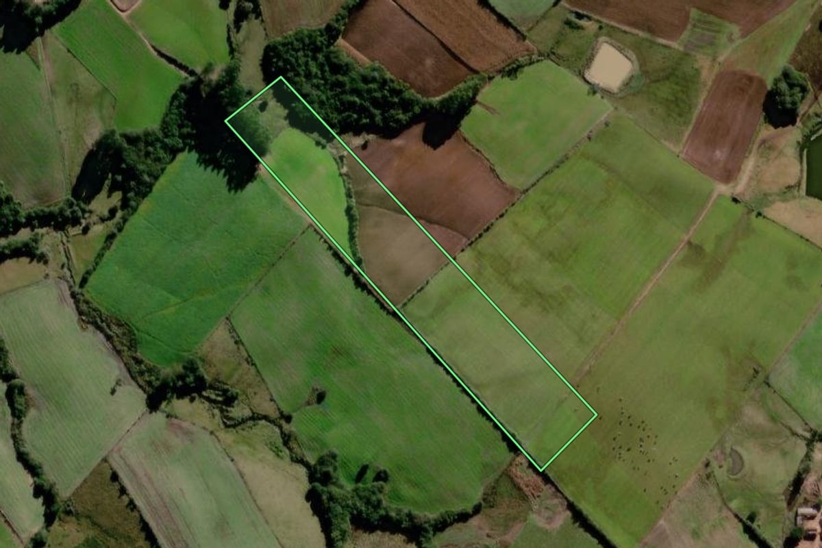 Imagem de satélite do imóvel rural em Canguçu (RS), com o contorno declarado no CAR desenhado por cima.