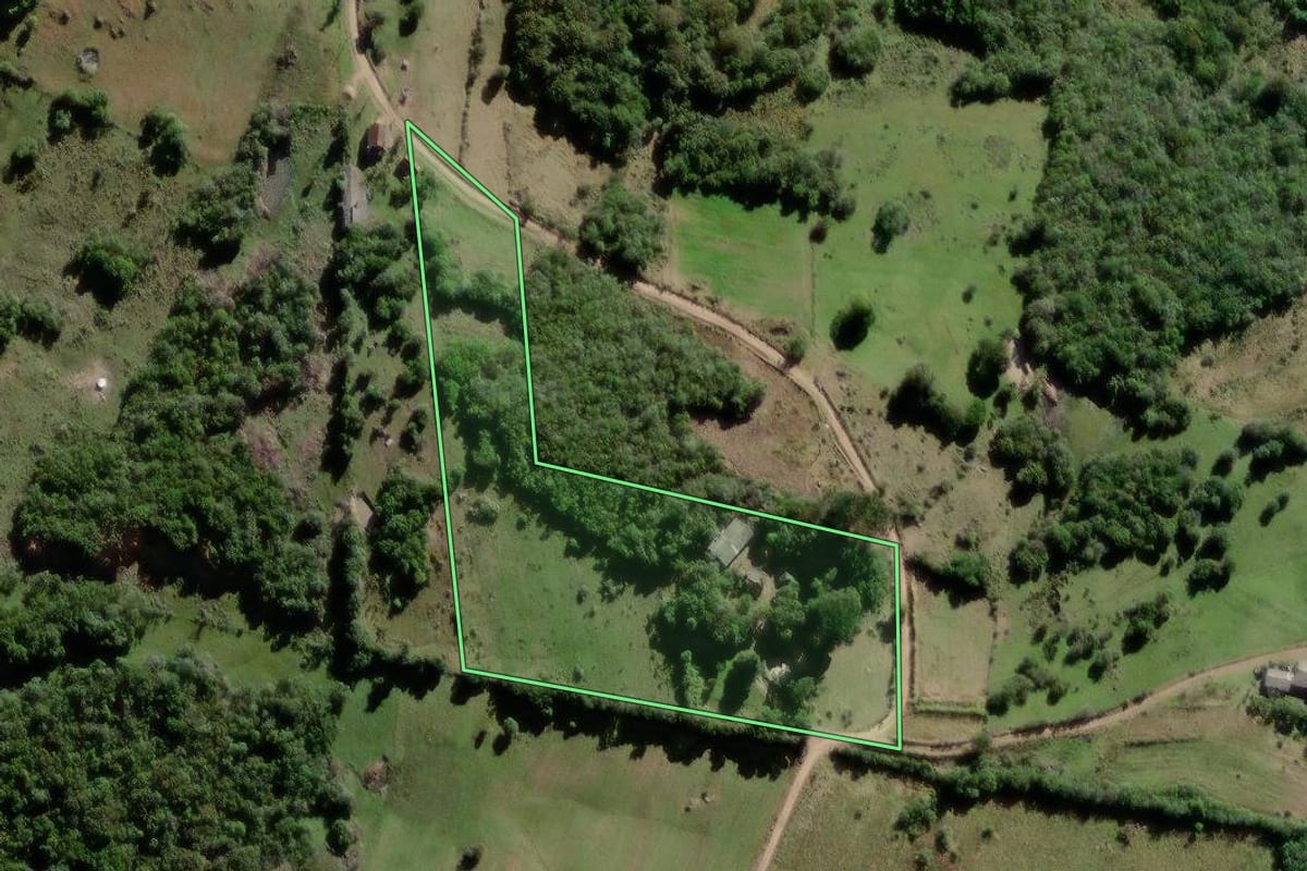 Imagem de satélite do imóvel rural em Canguçu (RS), com o contorno declarado no CAR desenhado por cima.