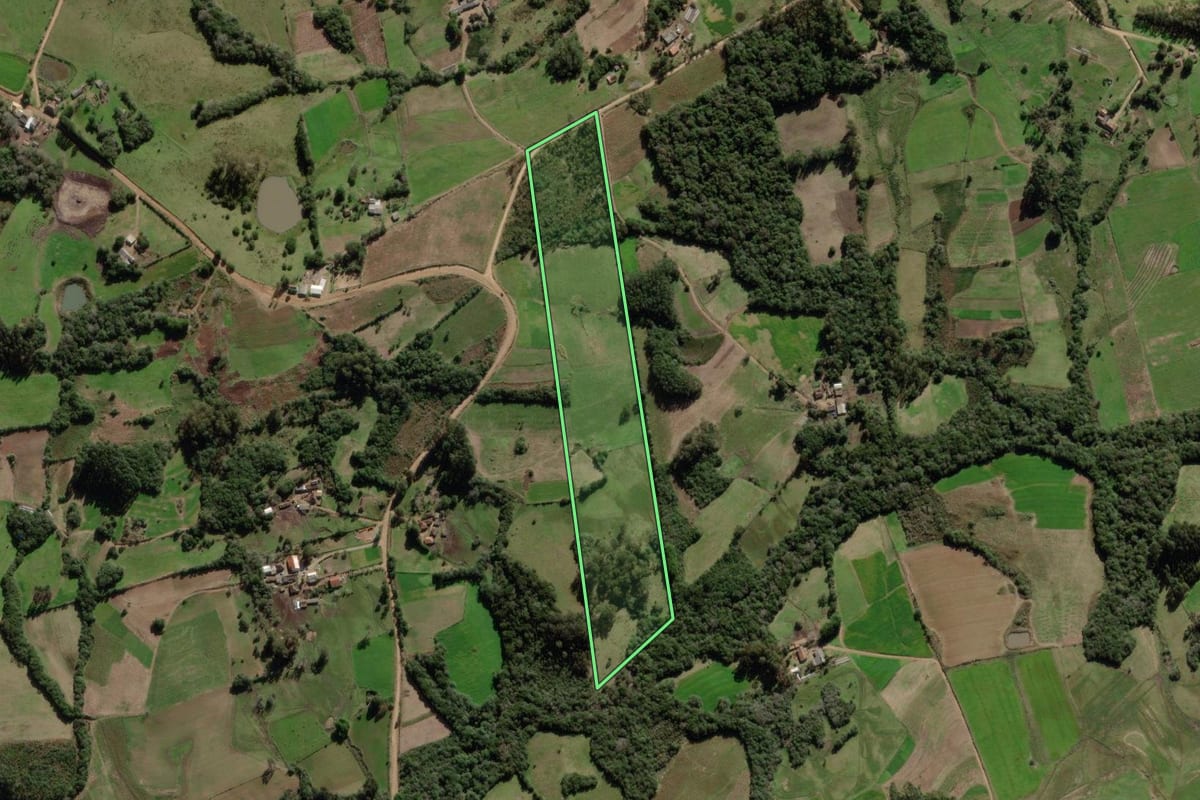 Imagem de satélite do imóvel rural em Canguçu (RS), com o contorno declarado no CAR desenhado por cima.