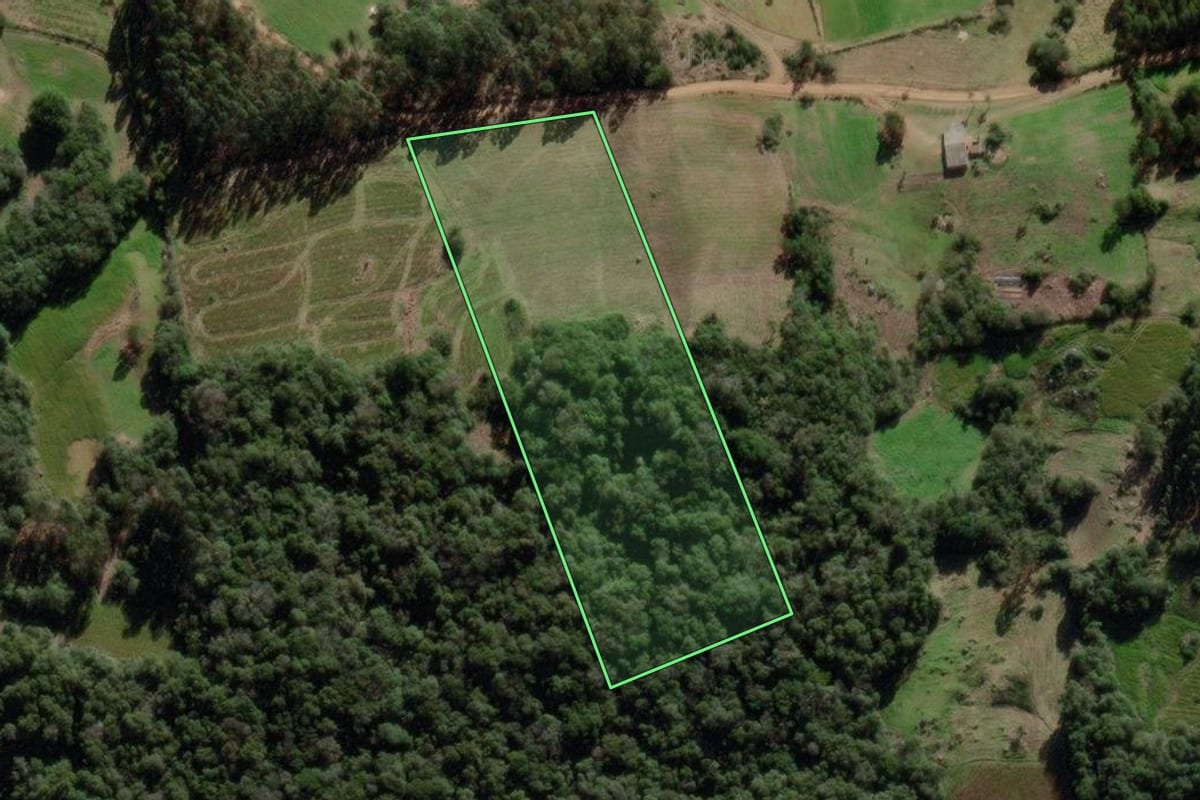 Imagem de satélite do imóvel rural em Canguçu (RS), com o contorno declarado no CAR desenhado por cima.