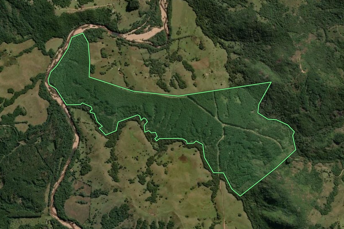 Imagem de satélite do imóvel rural em Canguçu (RS), com o contorno declarado no CAR desenhado por cima.