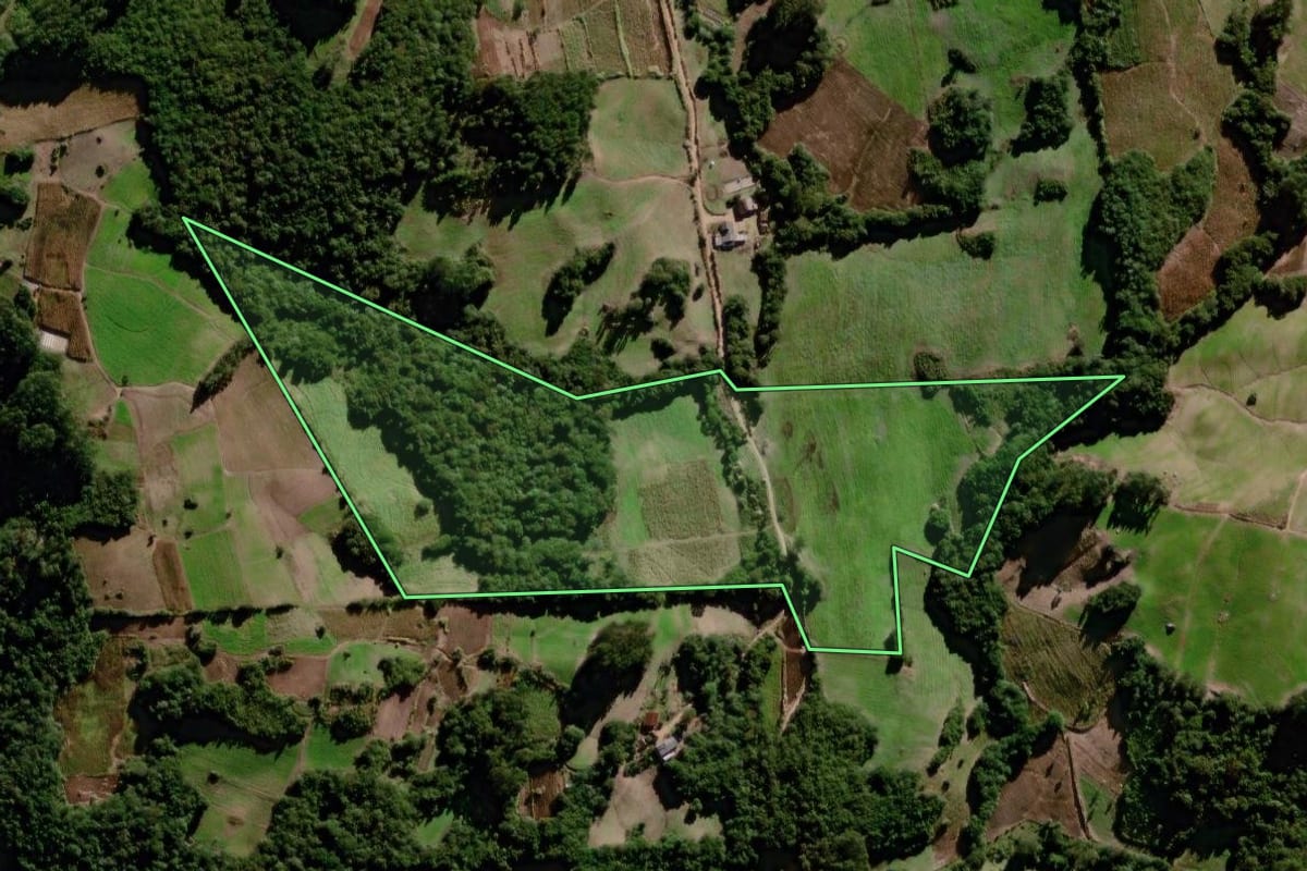 Imagem de satélite do imóvel rural em Canguçu (RS), com o contorno declarado no CAR desenhado por cima.