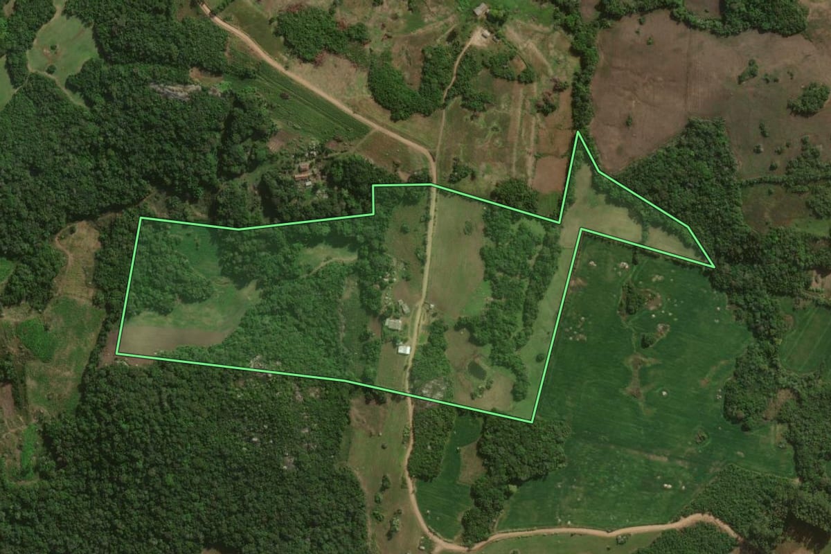 Imagem de satélite do imóvel rural em Canguçu (RS), com o contorno declarado no CAR desenhado por cima.