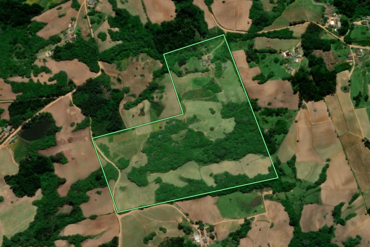 Imagem de satélite do imóvel rural em Canguçu (RS), com o contorno declarado no CAR desenhado por cima.
