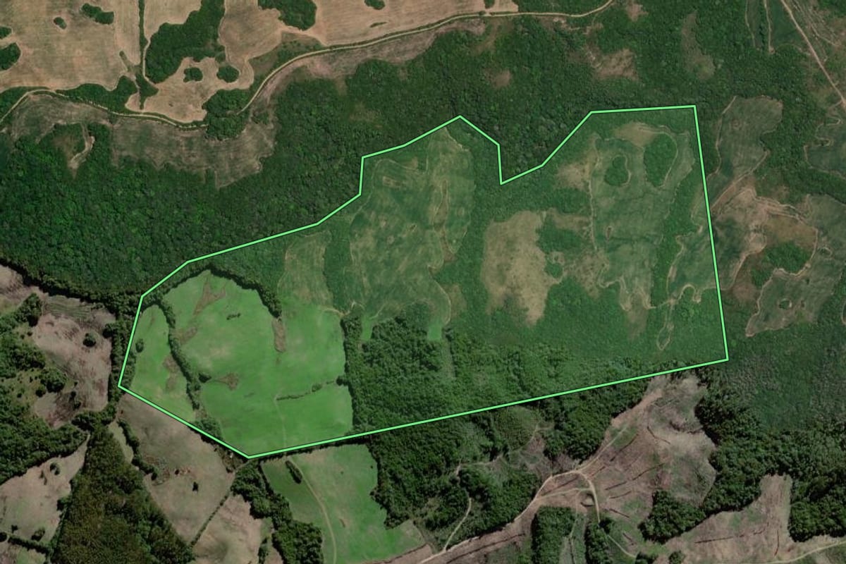 Imagem de satélite do imóvel rural em Canguçu (RS), com o contorno declarado no CAR desenhado por cima.