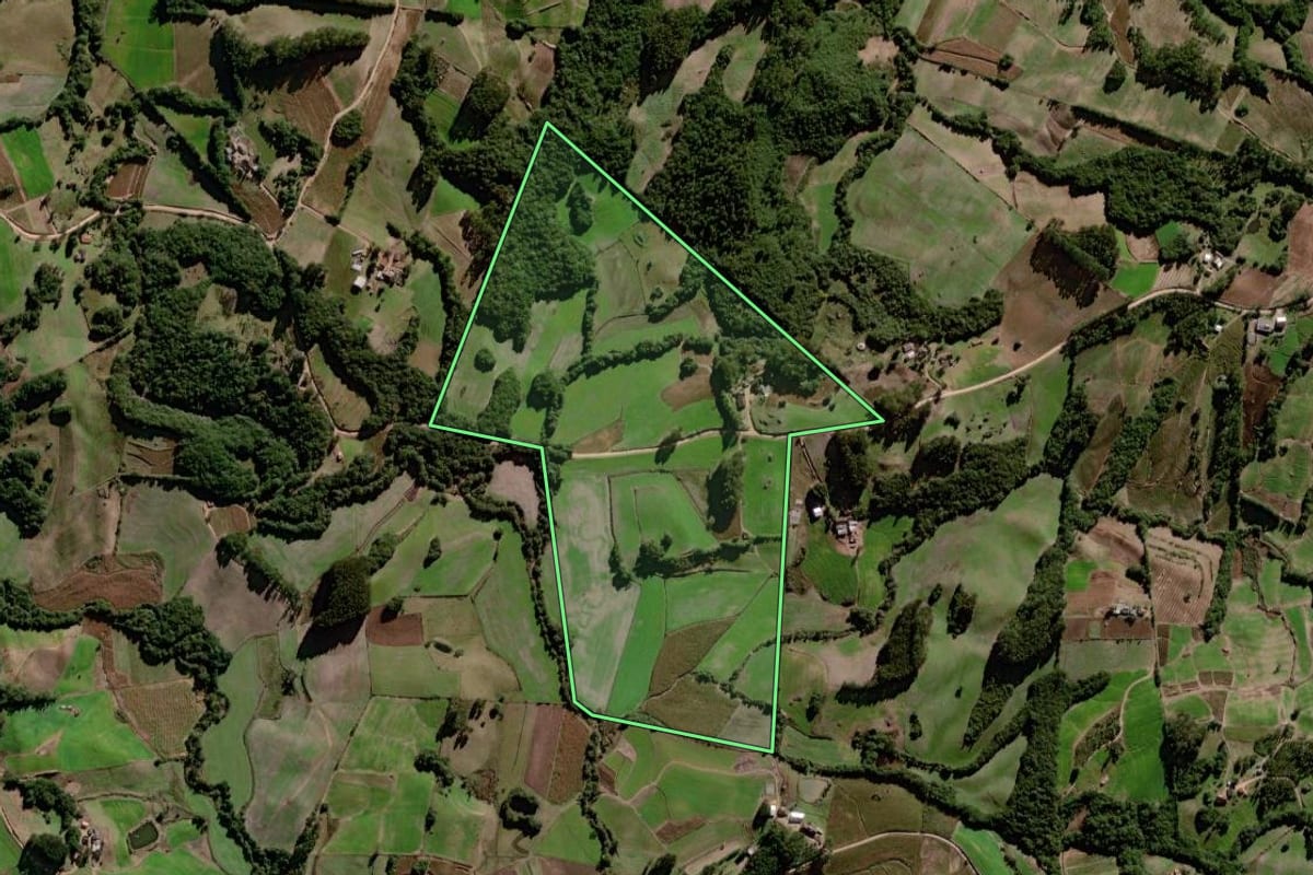 Imagem de satélite do imóvel rural em Canguçu (RS), com o contorno declarado no CAR desenhado por cima.