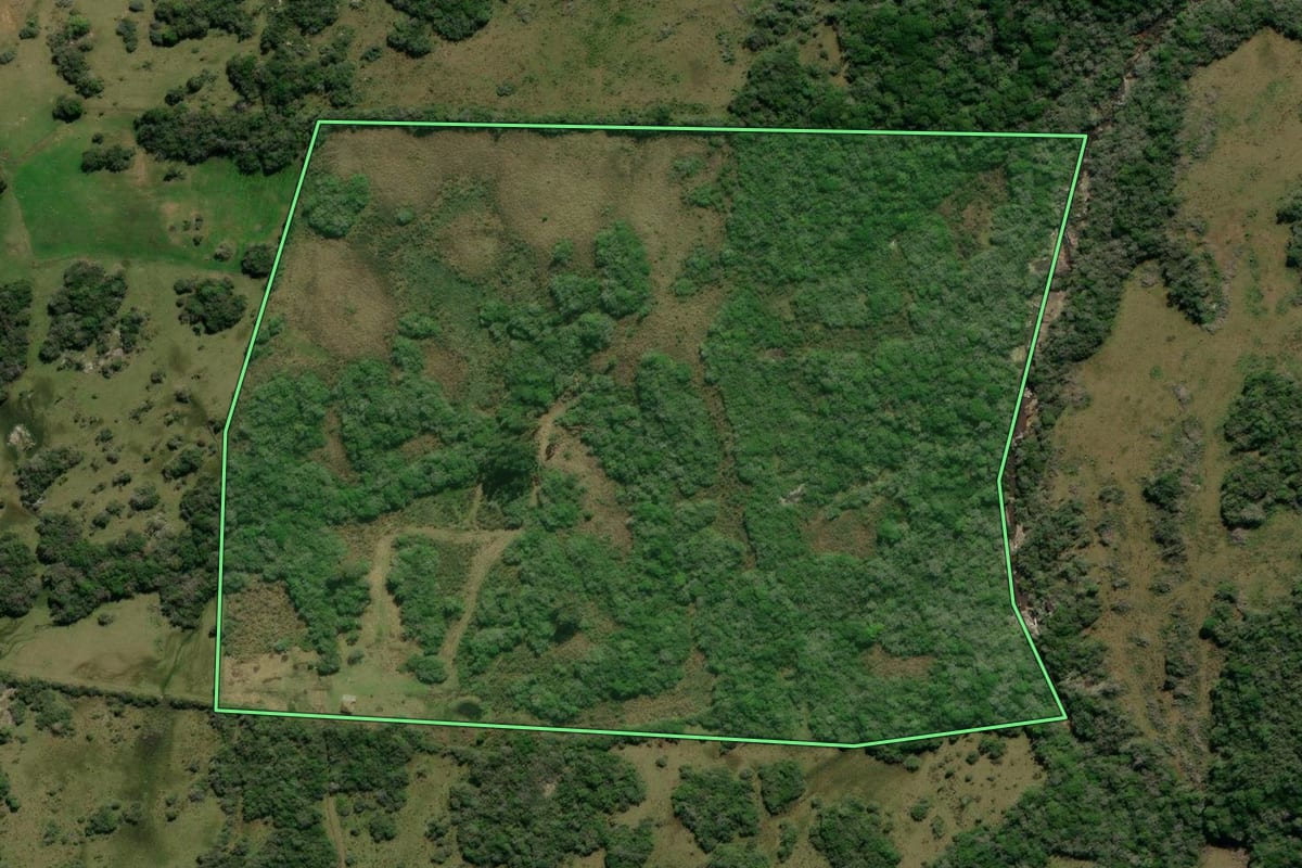Imagem de satélite do imóvel rural em Canguçu (RS), com o contorno declarado no CAR desenhado por cima.