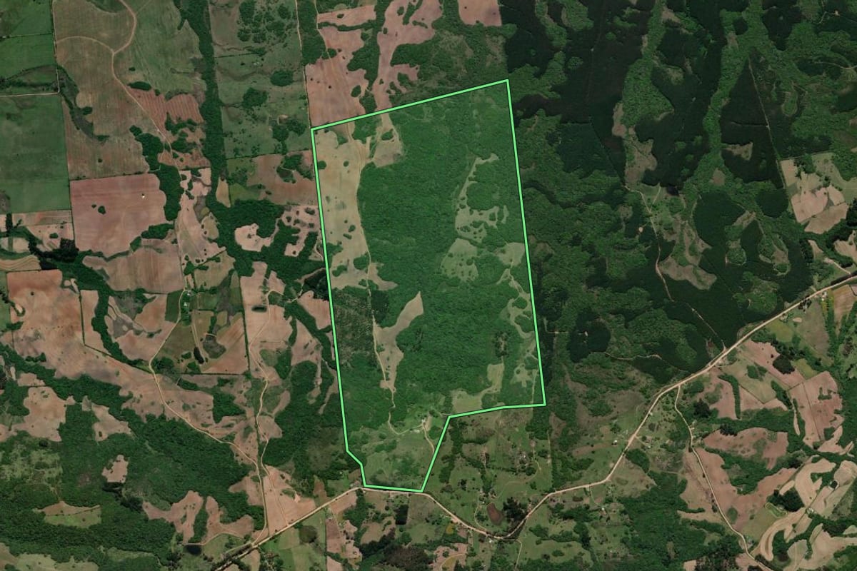 Imagem de satélite do imóvel rural em Canguçu (RS), com o contorno declarado no CAR desenhado por cima.