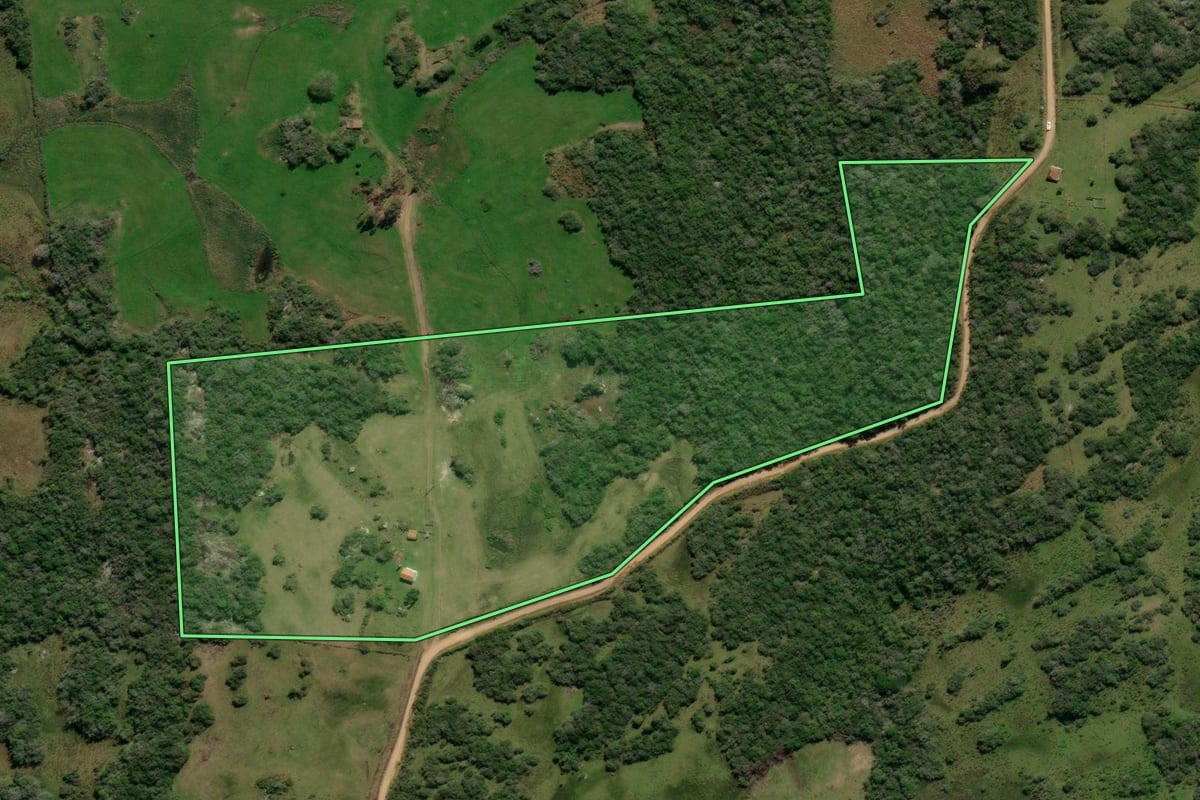 Imagem de satélite do imóvel rural em Canguçu (RS), com o contorno declarado no CAR desenhado por cima.