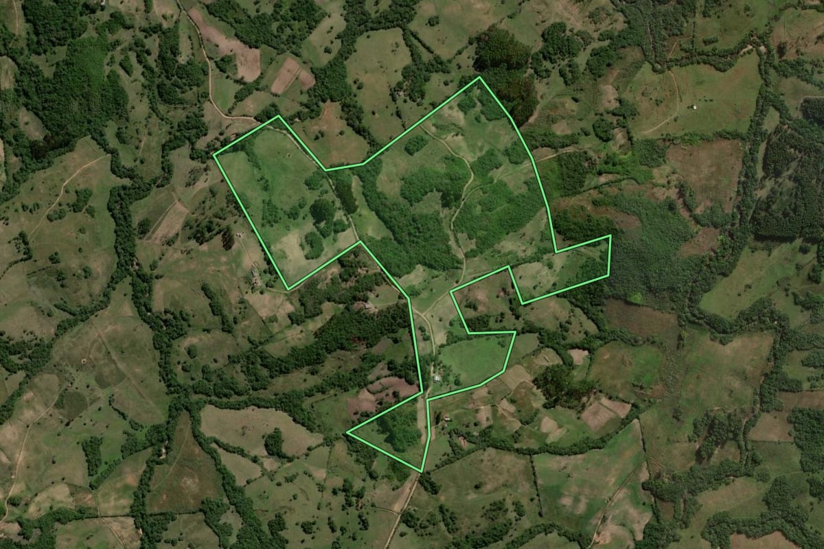 Imagem de satélite do imóvel rural em Canguçu (RS), com o contorno declarado no CAR desenhado por cima.