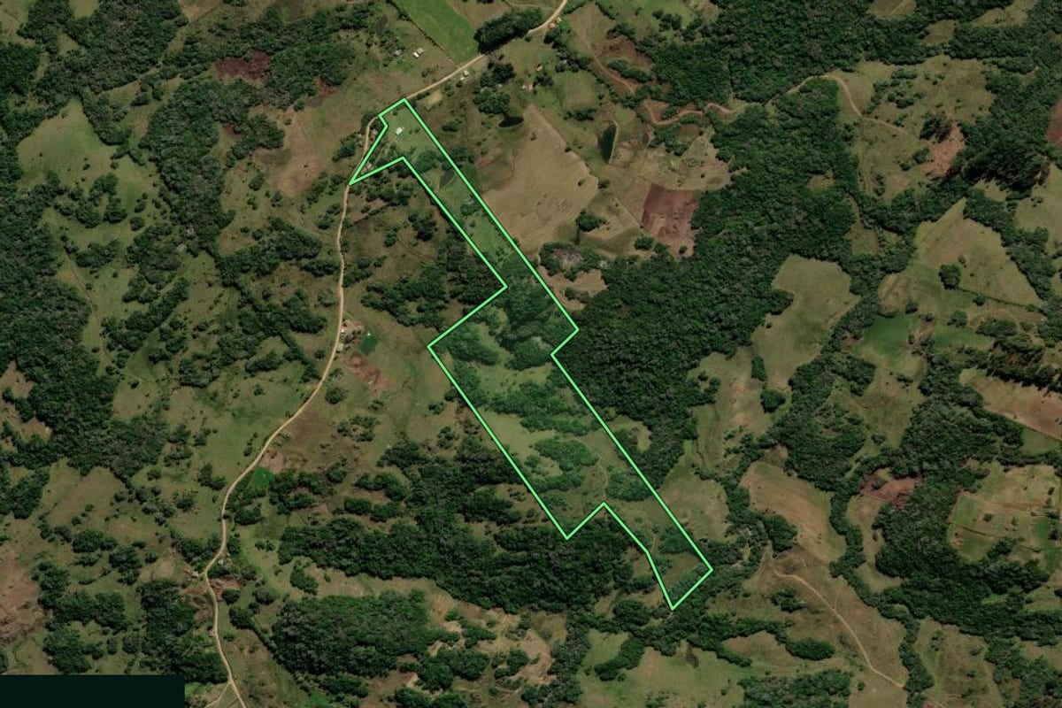 Imagem de satélite do imóvel rural em Canguçu (RS), com o contorno declarado no CAR desenhado por cima.
